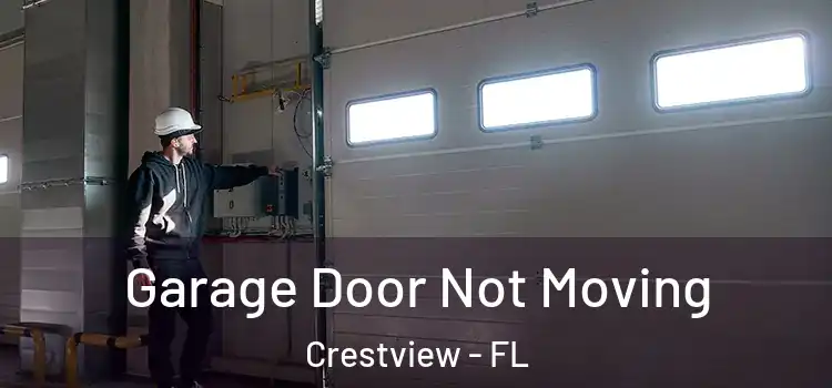  Garage Door Not Moving Crestview - FL