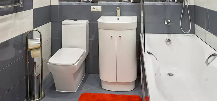Hansgrohe Shaving Mirror Crestview